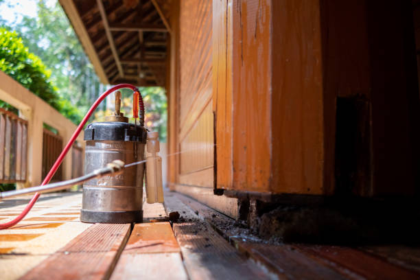 Best Cockroach Control Services  in Northern Cambria, PA
