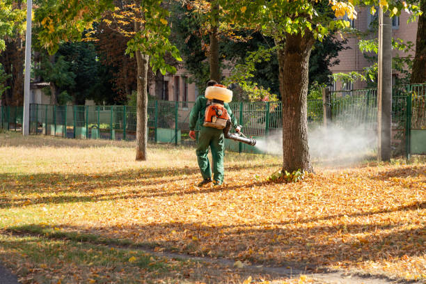 Best Local Pest Control Services  in Northern Cambria, PA